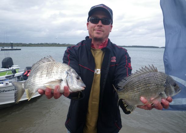 Squidgie Southern Bream Series results: Round 4 Shoalhaven